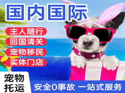 深圳航空运输国际宠物托运 【国
